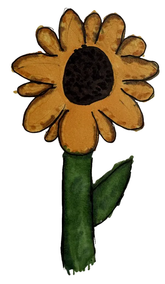 rustic flower drawing